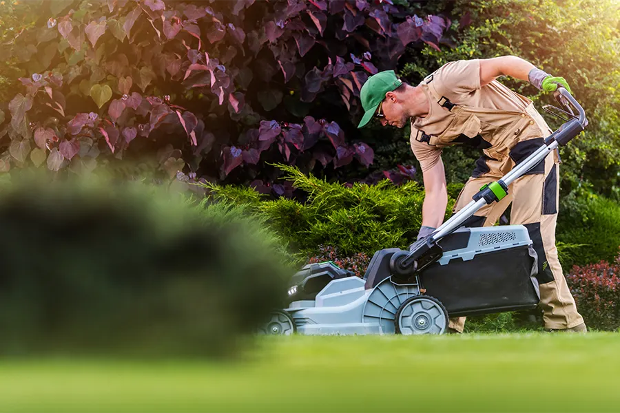 Professional Landscaping Company