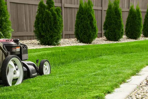 Grass Cutting